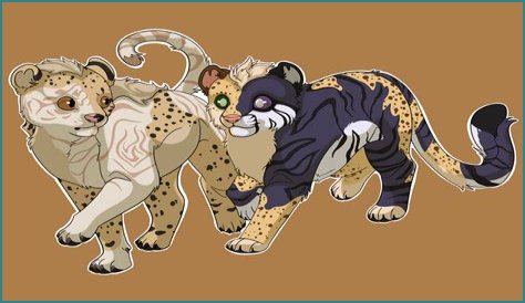 Uncovering Sibling Dynamics And On-Screen Magic